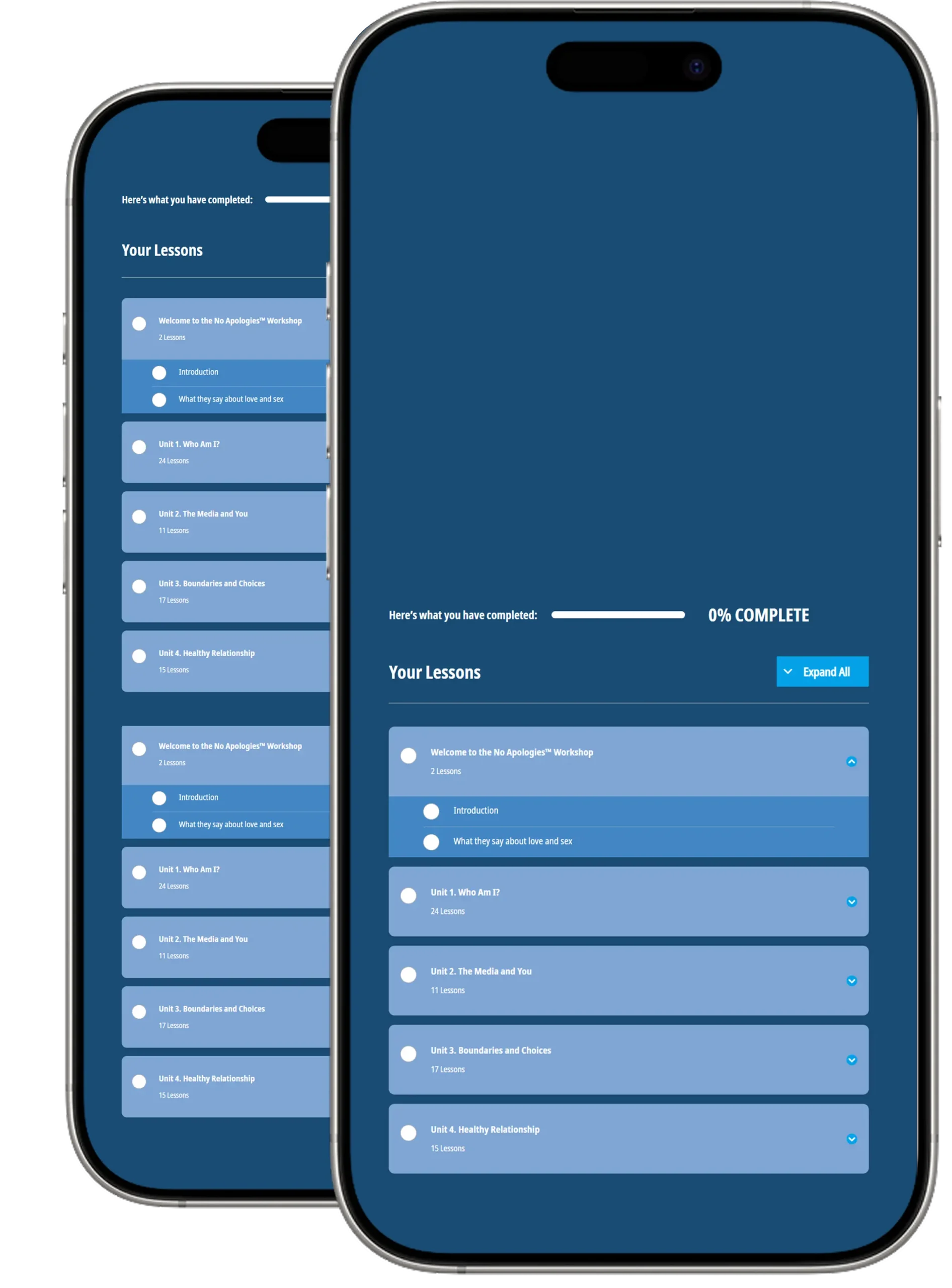Learndash Mobile Graphic