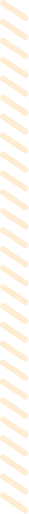 Section Divider